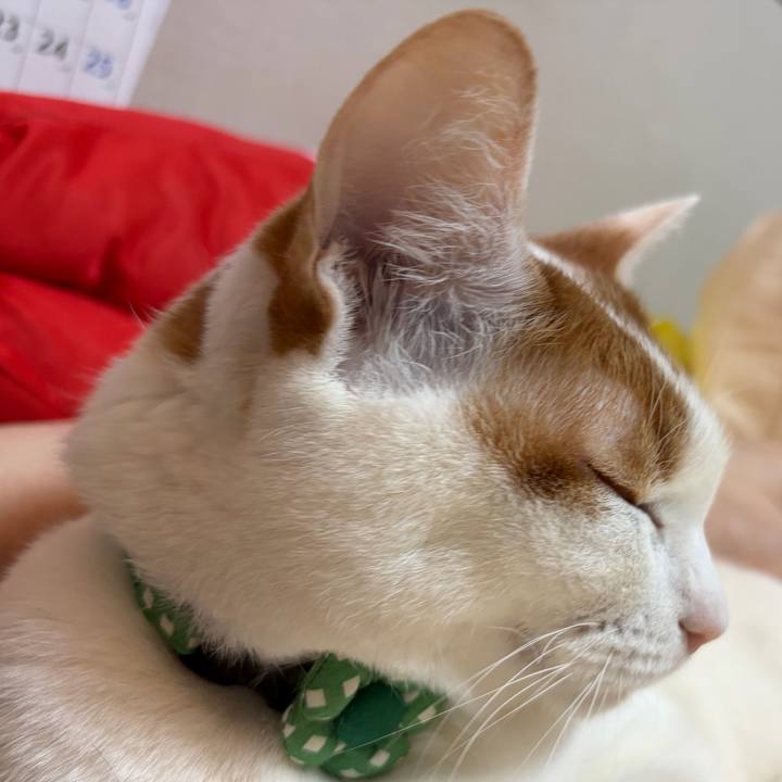 B6127ef0 a564 4ab2 8e8d a24fdf969085 1772369426681