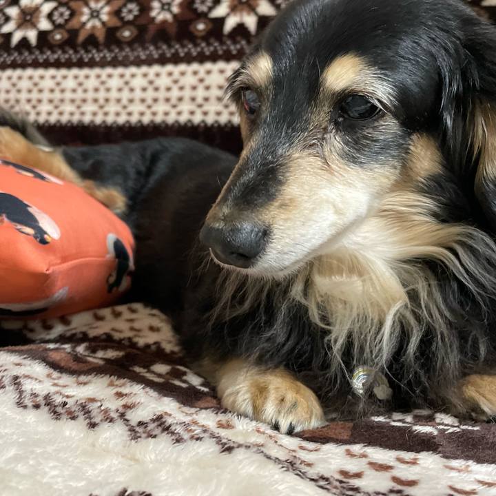 B61296b4 7822 4c07 8d25 25232362ce09 1707914917076