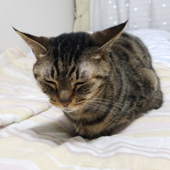 B612ba63 eafe 4c43 9e77 a1c2ee096193 1582061348292