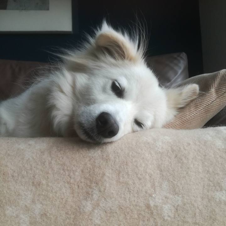 B612c52c 9380 4e82 a1d0 ef76334070f5 1516868943365