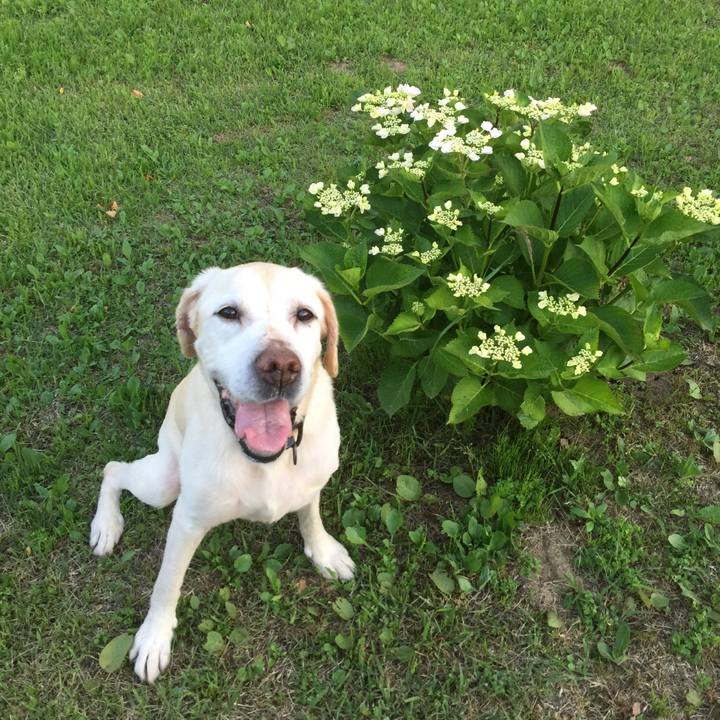 B612d6ef 49b2 4ffa bafe 035b448ec110 1591488447431