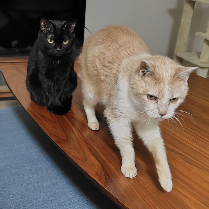 B612dd33 8ef8 42d1 9c85 a56bdf259f1e 1768562889541