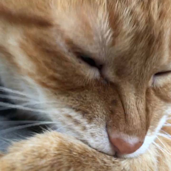 B612e504 52a4 4211 9266 10ef0f2ddfb7 1741988574224