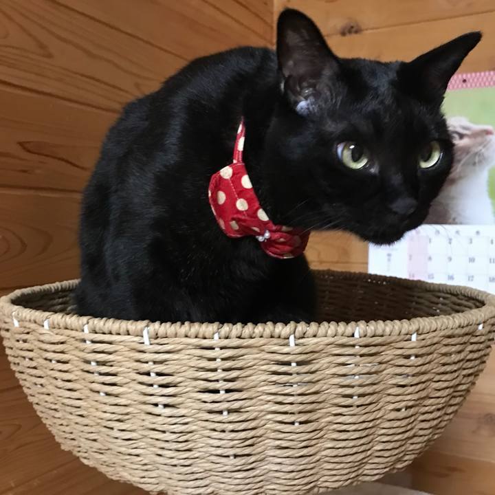 B612f77c e671 4b4e 810f ed1a8cb6e4c9 1555572194765