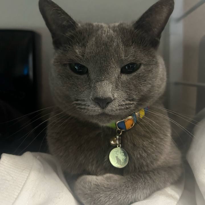 B61317c3 a5ae 4bb1 8867 5805fc6ccdf1 1731983734413