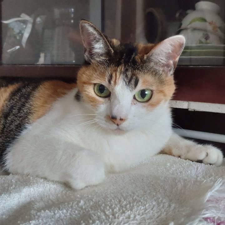 B613199f 73ae 4072 ac17 24be44021fd2 1672361645976