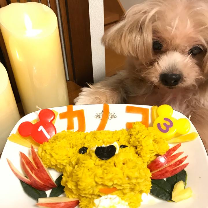 B6131b2b 479b 4dee 9e2b a7f20967abb7 1541073754396