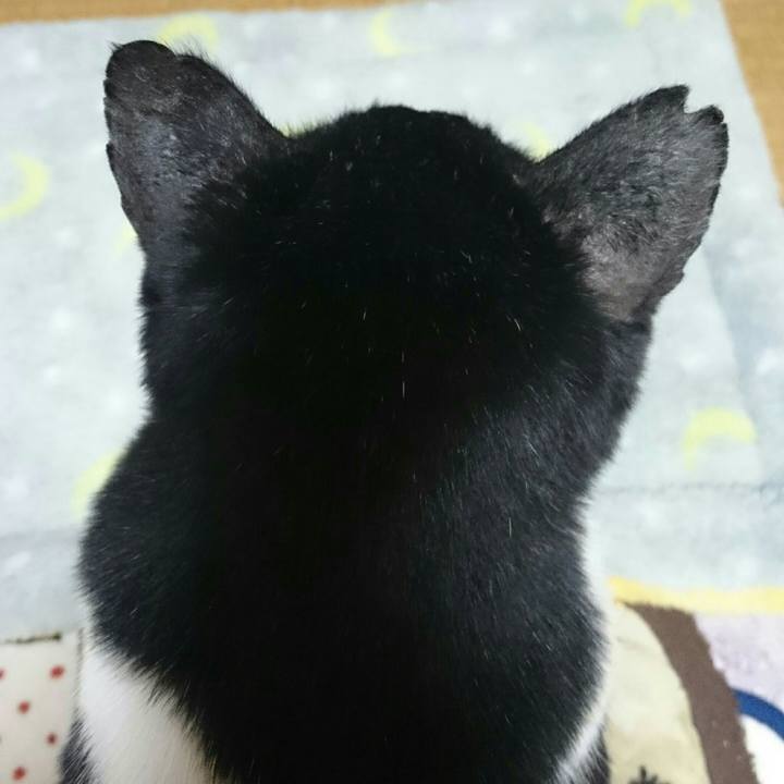 B61373b5 7b0b 4399 adc4 0884a033c96d 1513071671644