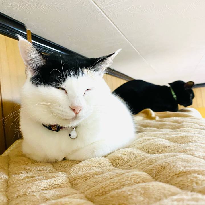 B6138e26 39cf 4509 9639 17a6520a8314 1667126115246