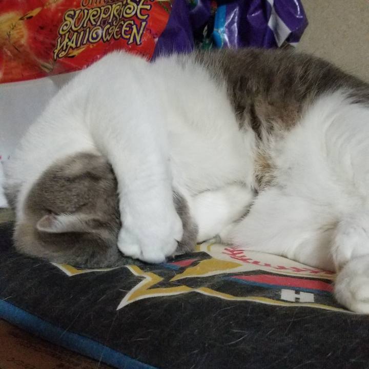 B613a77b 2941 49c9 a498 2c74a7ddd653 1605143680518