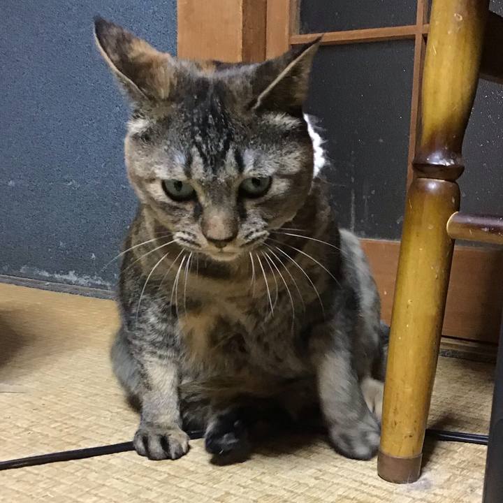 B613b341 7c99 480c 9774 8344a60cc6ad 1737801516497