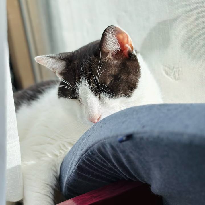 B613be86 d798 4842 8c81 bcc47e9655d9 1666233263217