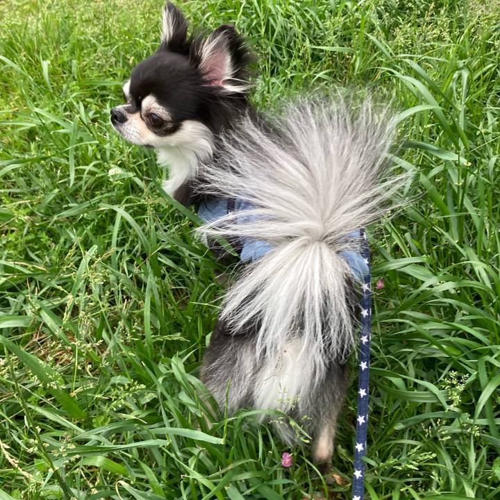 B613efa8 44a4 4ee6 be19 dd6628df9f6f 1652611110105