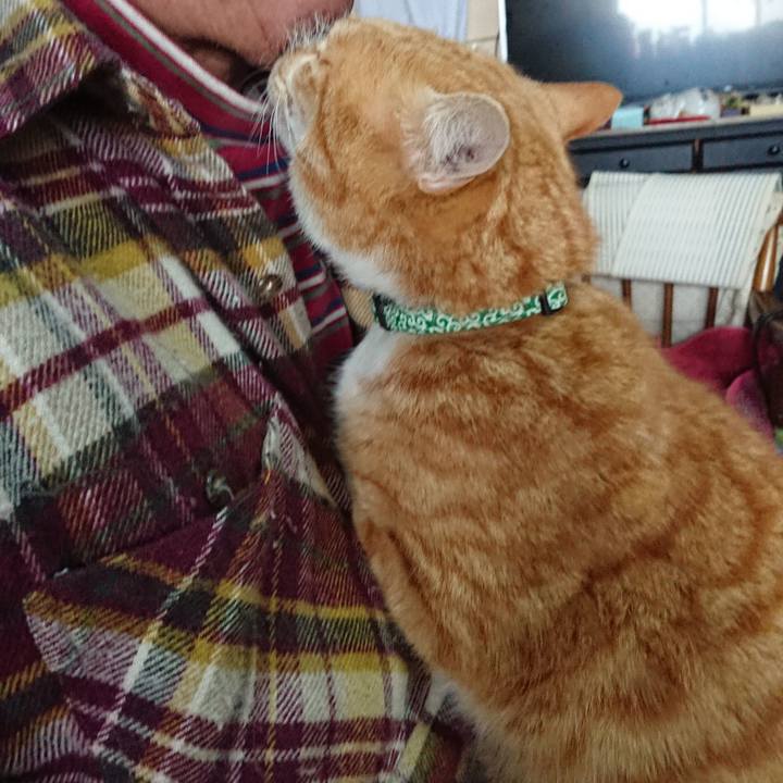 B61415a9 7e75 417e b34b 9dab57b21df1 1581229296621