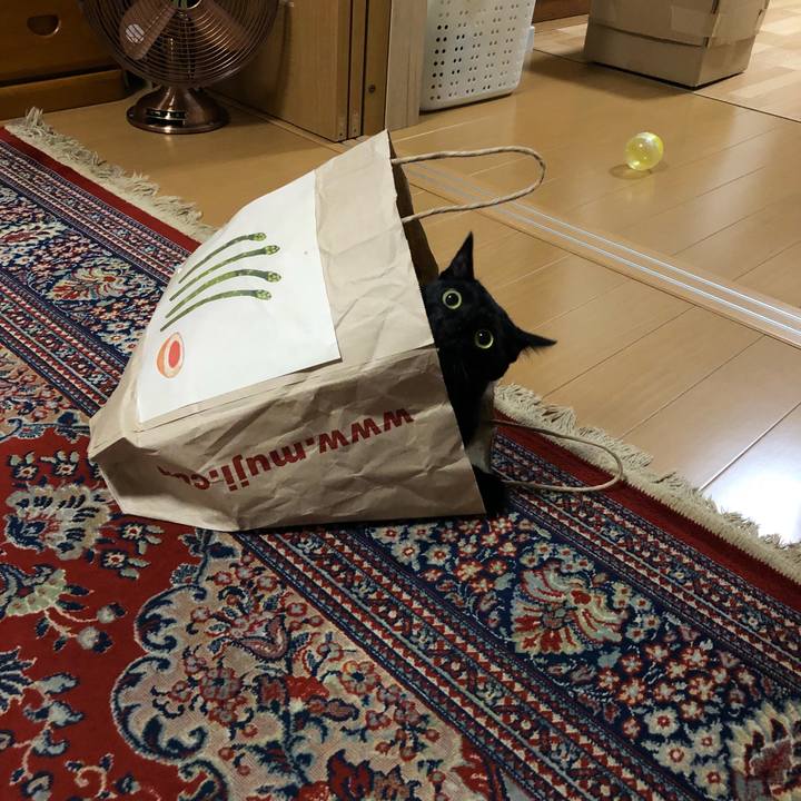 B6142783 acf3 49f8 8688 2c0d4751a0a1 1535089646129