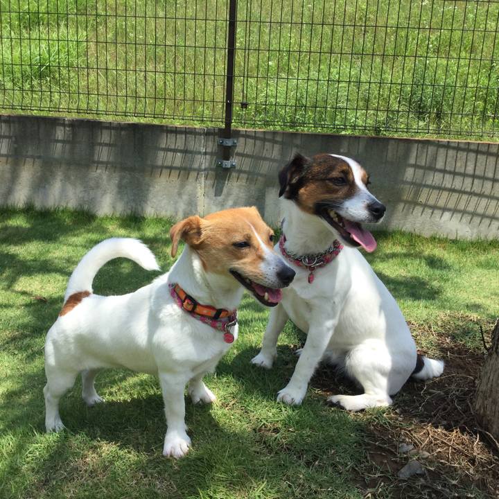 B61427be a440 49d5 9025 28eb6b73f692 1528113959832