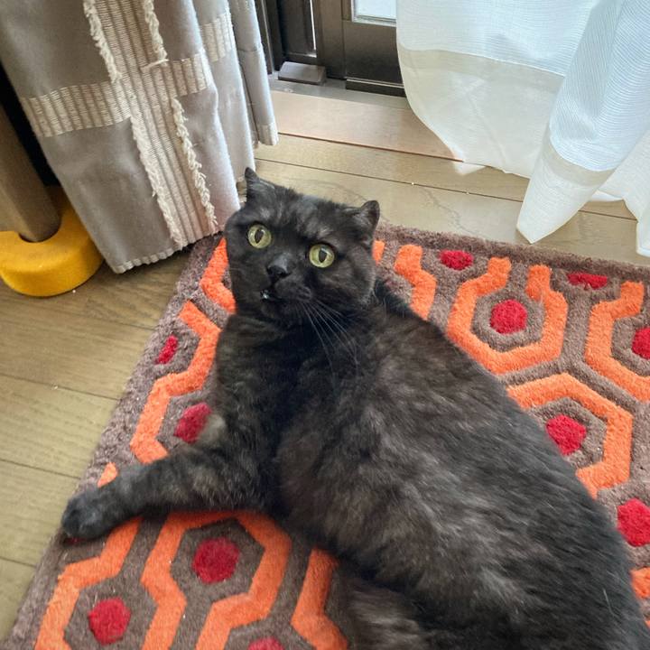 B6143d2e 34a7 467d ba78 bcd55394d529 1592268357019