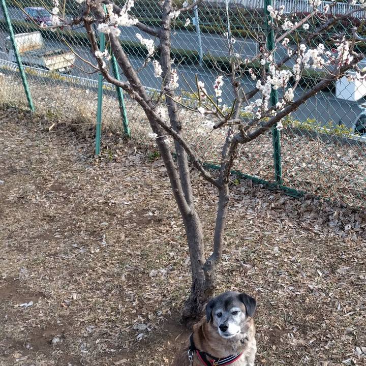 B6145ada a1b1 464a b06d 5e8c688eb594 1518999204767