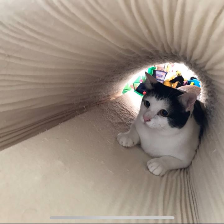 B6148f28 2439 48ce bc00 9422bbe73993 1540088722742