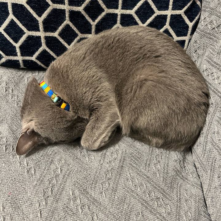 B614aac1 7f4b 46db afa9 bc9a1b077339 1697363868910