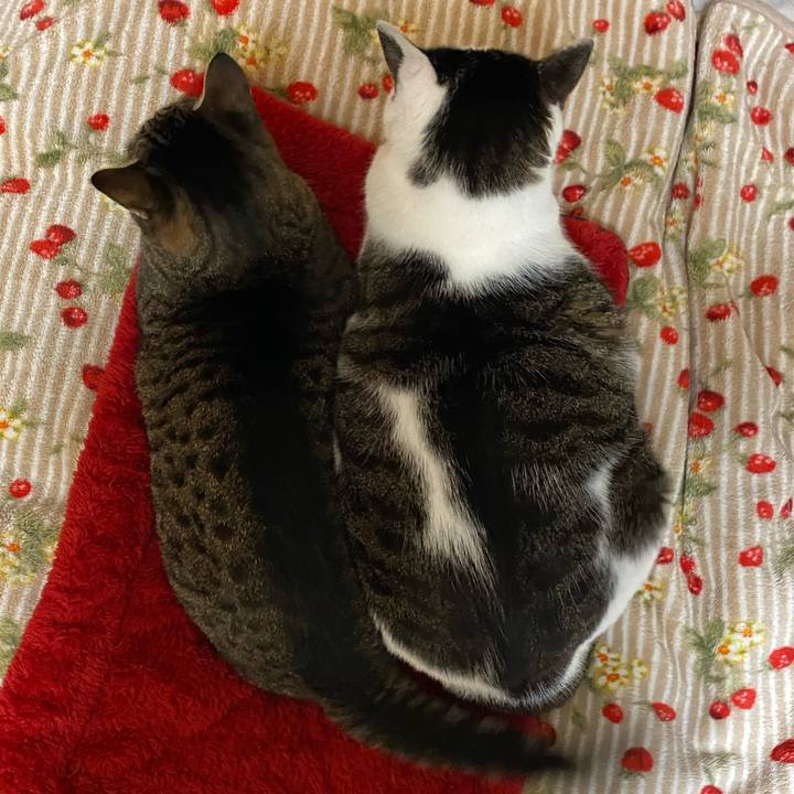 B614cf5c a3a6 4cea 90a6 29f28266575e 1769518388896