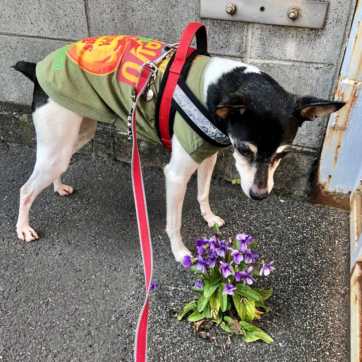 B614e33f 6855 4e64 b705 b51fc1fb7343 1554598313356