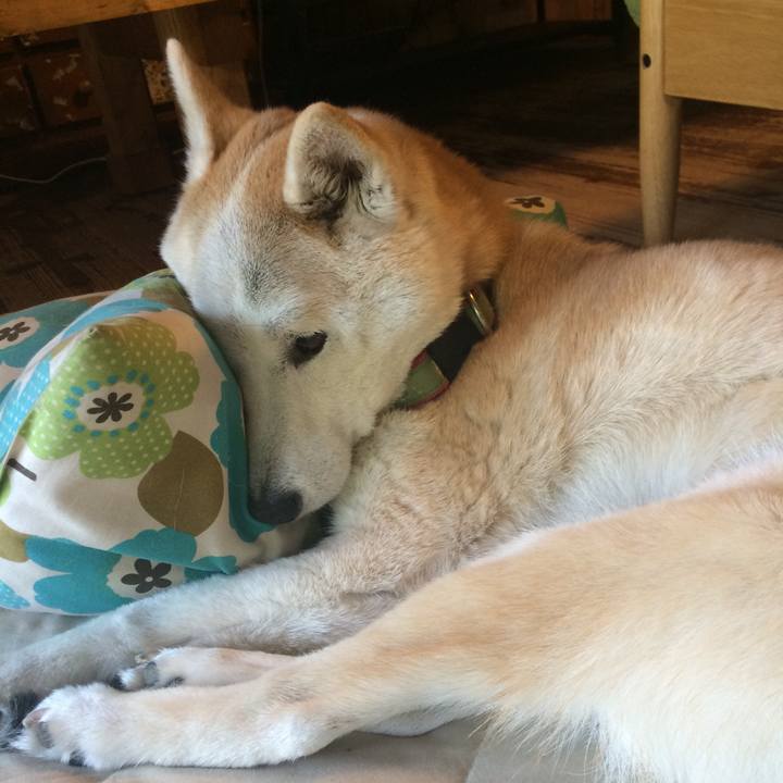 B614eacb 21f1 4c66 9a89 8b7851cbafd6 1561364529883