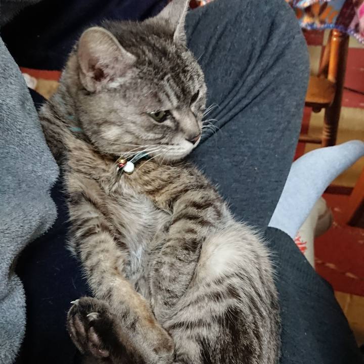 B614f353 b865 46d1 8bb5 266a4b8f5ddc 1556831658756