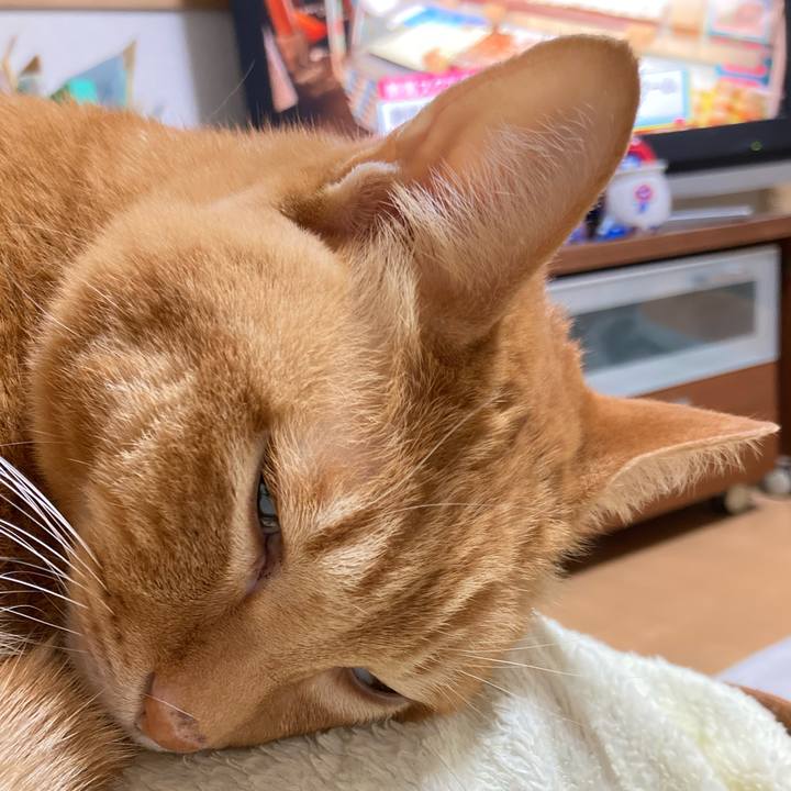 B6150a3d 9617 4fa1 9791 694fe83850e9 1769843048071