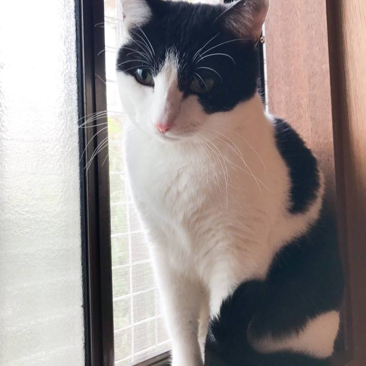 B6150c11 c727 46af bd0b da2d24986842 1518427805248