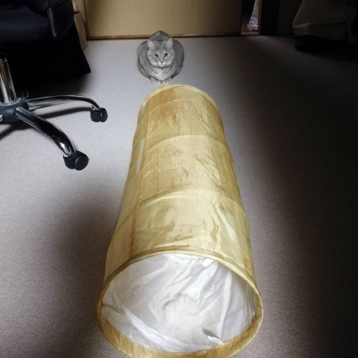 B615272e 9ee2 4075 8686 2def15c20d20 1541977435799