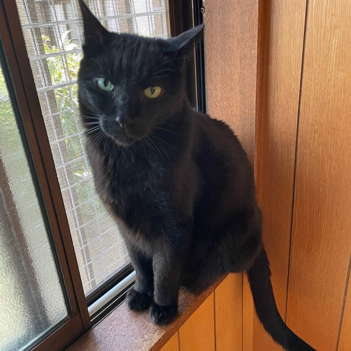 B61539d2 5ccb 495b 8a3f 2bb560ef4087 1616113036938