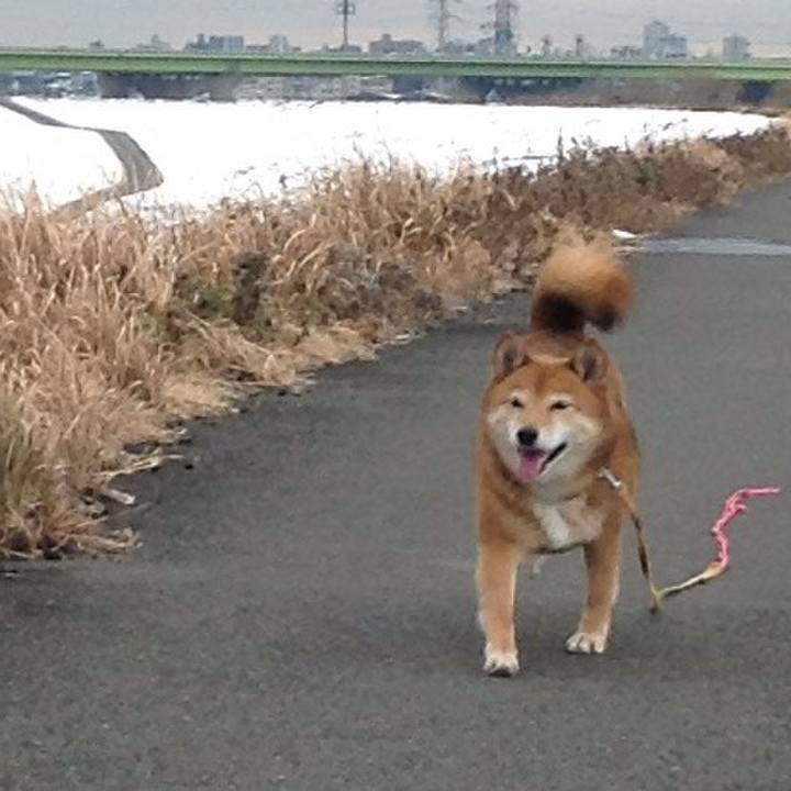 B615471d 6cda 498d a4e3 ba10a8e3e422 1517119399937