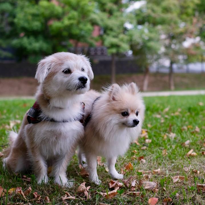 B615f4c8 aa19 425a 8f01 2c3b82405048 1759700897927