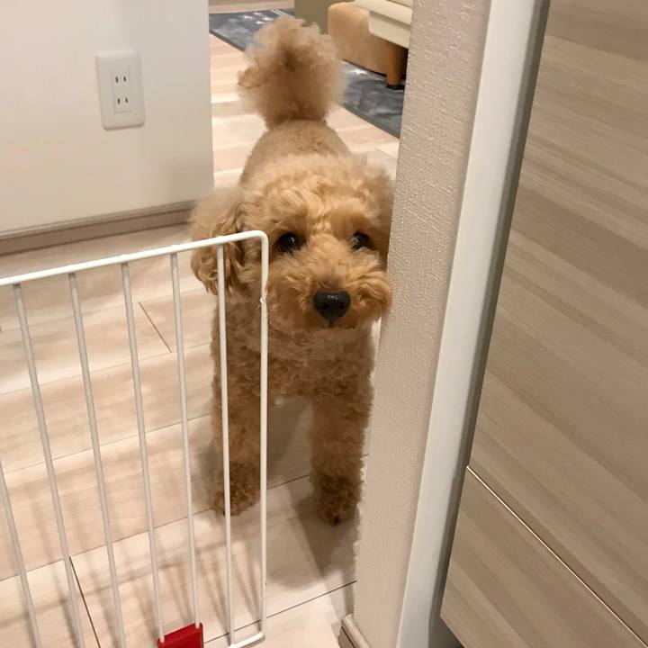 B6161c51 42fb 4e2a 91a5 4c59f0e3eb65 1587383221753