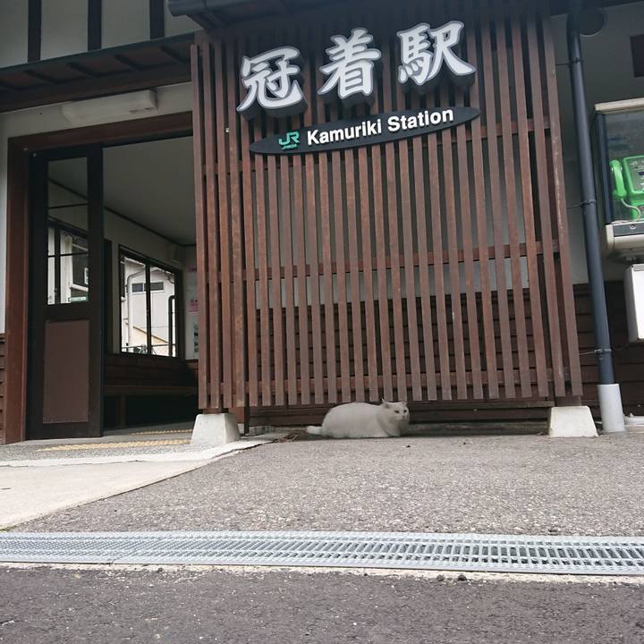 B616395d f4e6 4ba3 a4c6 849054c0d154 1568855261647