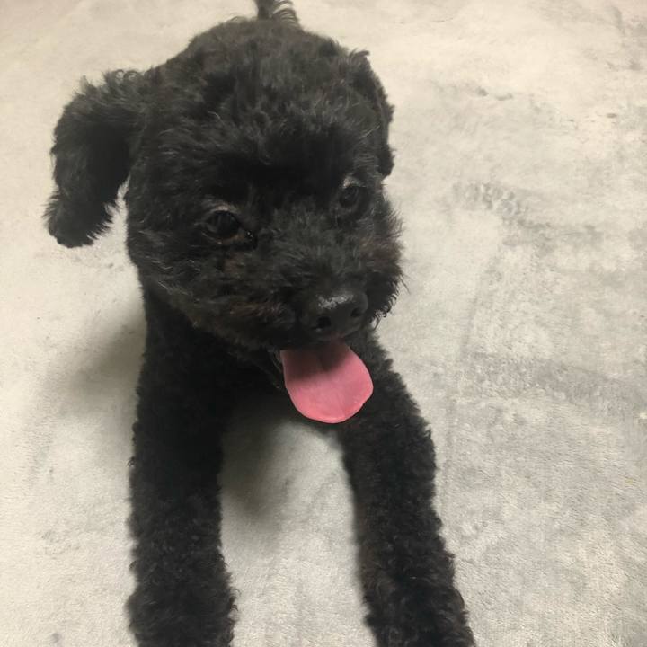 B61667c9 59ba 4819 8108 b5fdb2040aaf 1597890572389