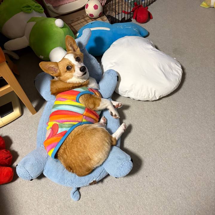 B6169ae3 c3b3 4e94 af35 7ee6ac9e5604 1773326764357