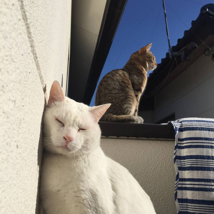 B616dc6a 9309 4b4d 8bda d7a36baf7107 1549066659714