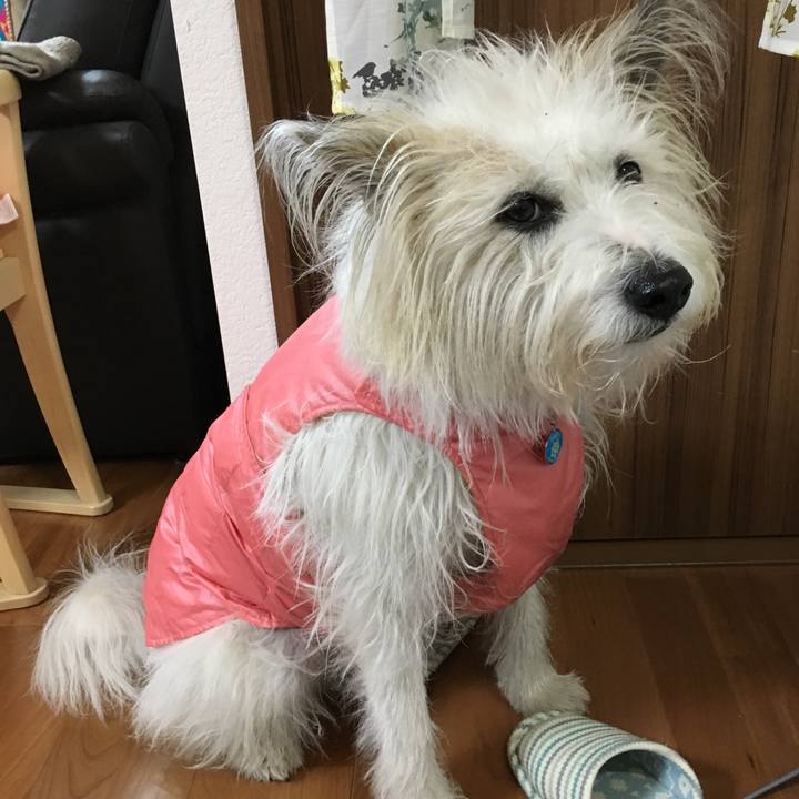 B61730bd 41d4 4978 8fd0 b766abcd76b5 1549713499704