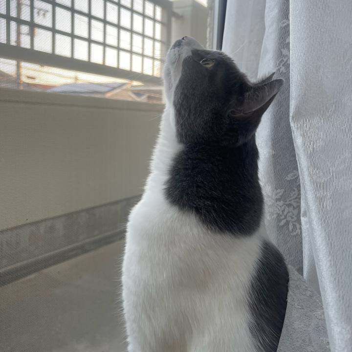 B6173926 2ad9 4651 bef9 57823386a90a 1695543806677