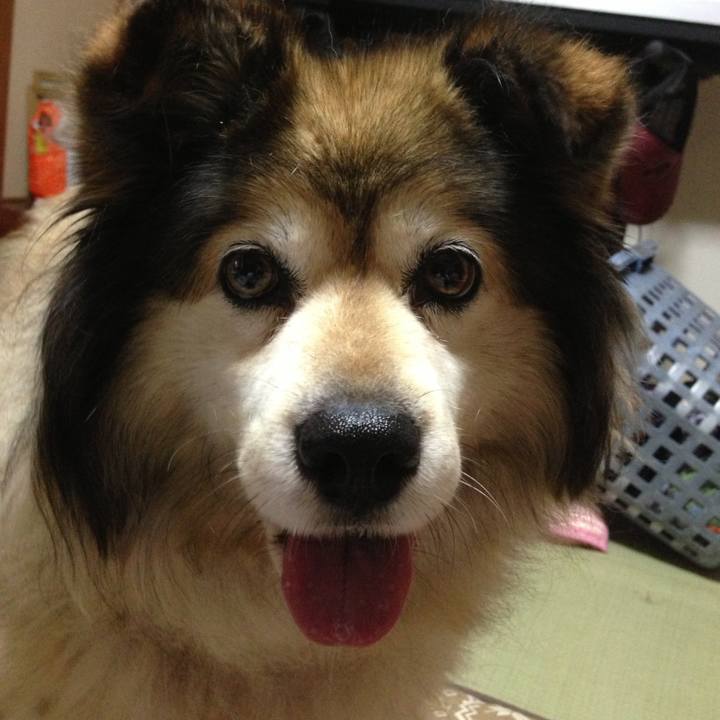 B61742f9 3275 4b8a 900e 91d20a78ef58 1598275349737