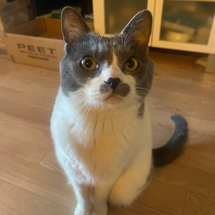 B6174de4 7ae9 458b af8b b82b16e1e448 1742342577626