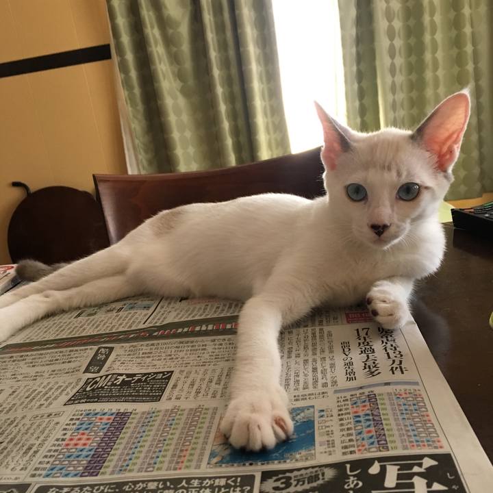 B6177930 e49d 4095 8d1d fcd36a50a1a3 1535677431676