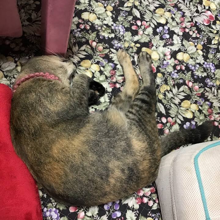 B6178bed 4aac 46b9 ae19 979a016bfc49 1595043197440