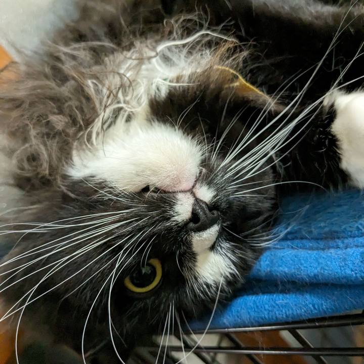 B6178e32 37c5 4a32 933c a8ee9c076c6a 1699747528424