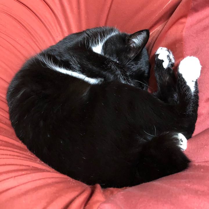 B617bb96 dd5b 4043 9b9b 5fcf30030eb8 1644810374788