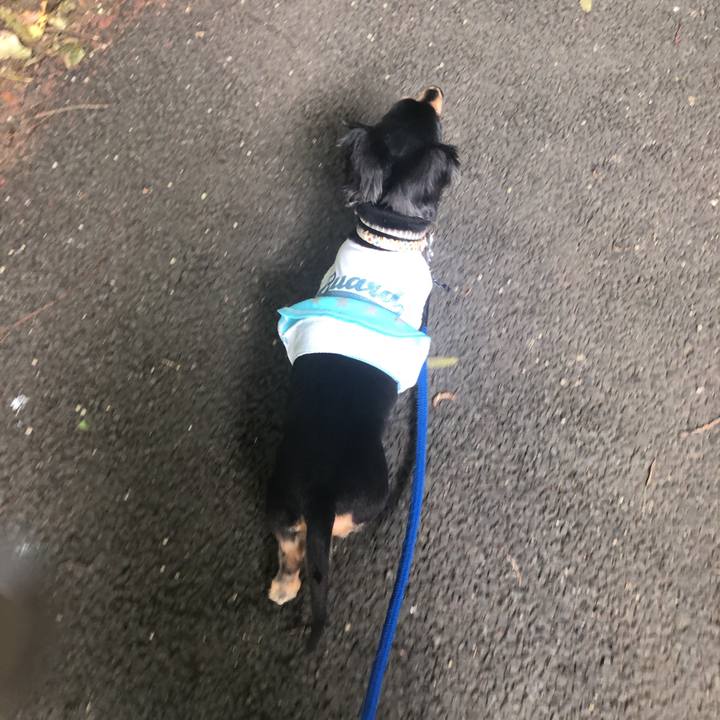 B617e73e 6c48 47a2 a509 5a98fc3f58b8 1597013008632