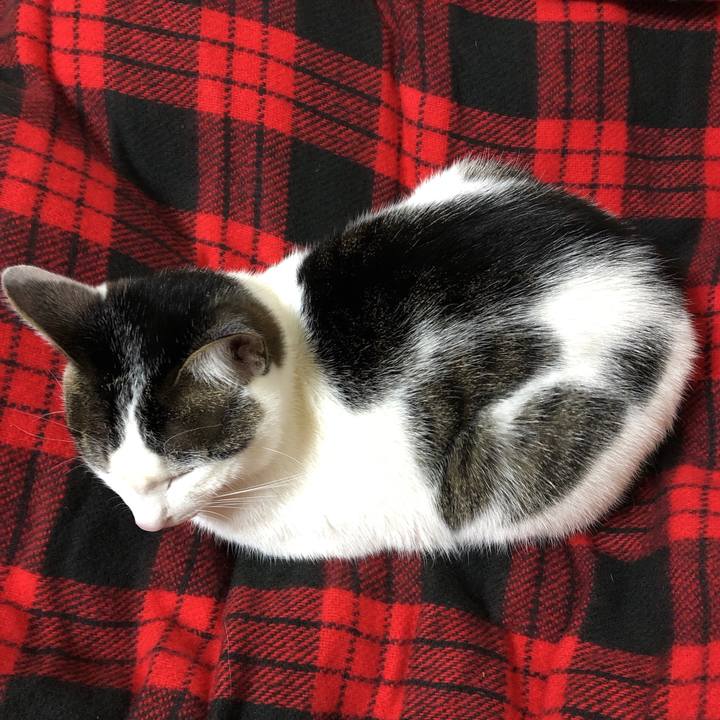 B618033f e6f3 46a5 a797 1ede65b97dd6 1610635484594