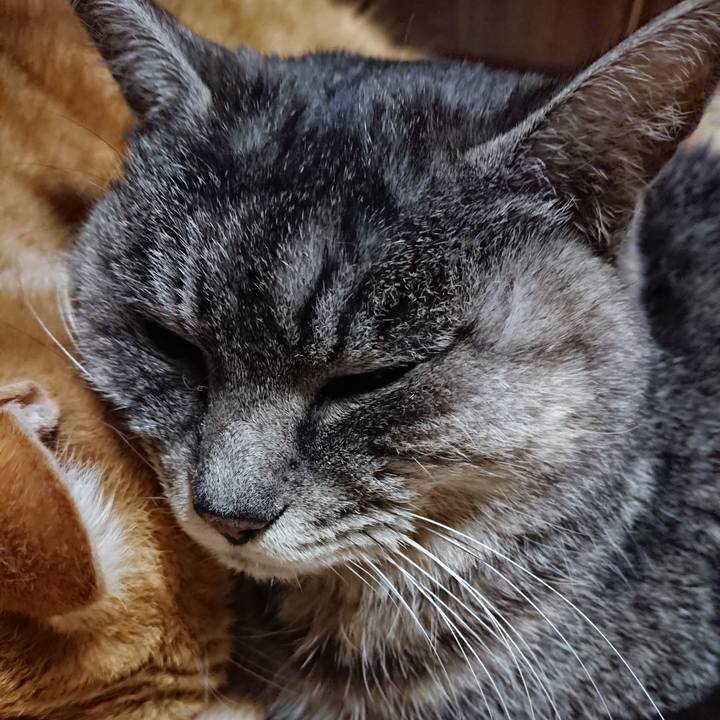 B6181394 18a5 49a4 a14e e288f361c2ba 1581338377914